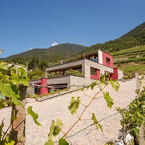 Nebbiolo Wine Bed & Breakfast Castione Andevenno